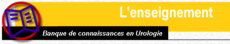 bandeau.gif (8060 octets)